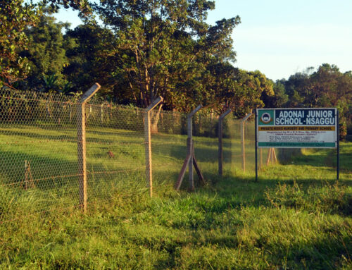 New Fences Secures Safety